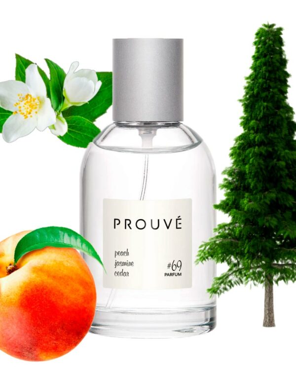 Prouvé #69