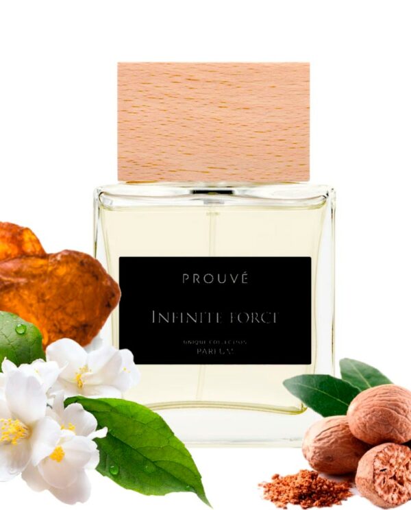 INFINITE FORCE